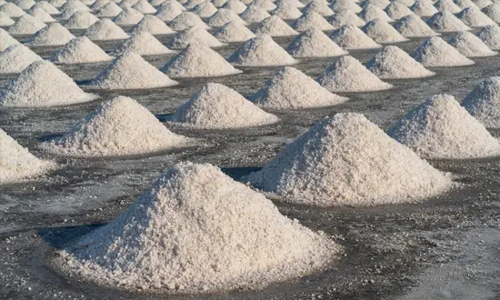 Sand Filling Services02