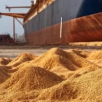 expertise-sand-export